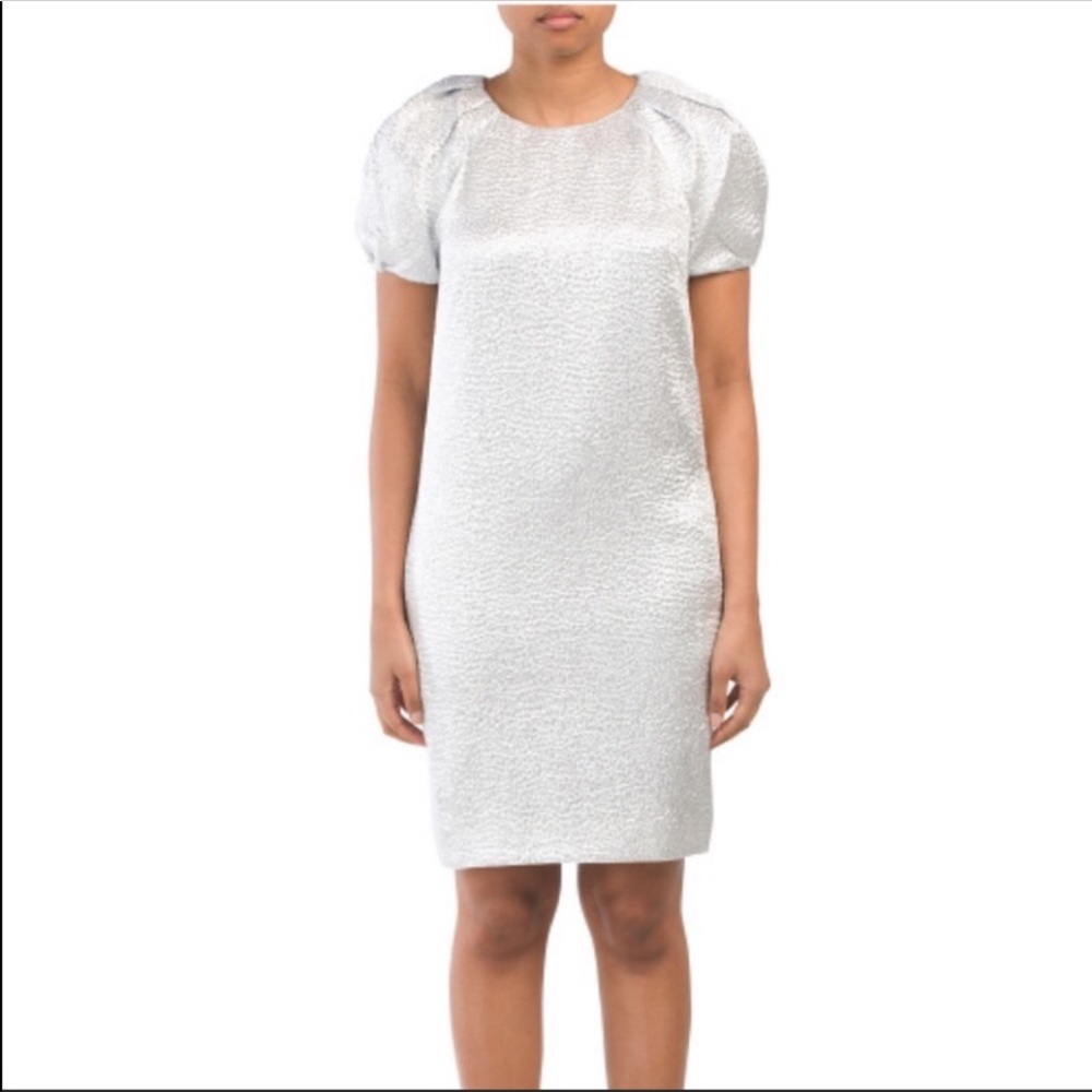 St. John silver dress.